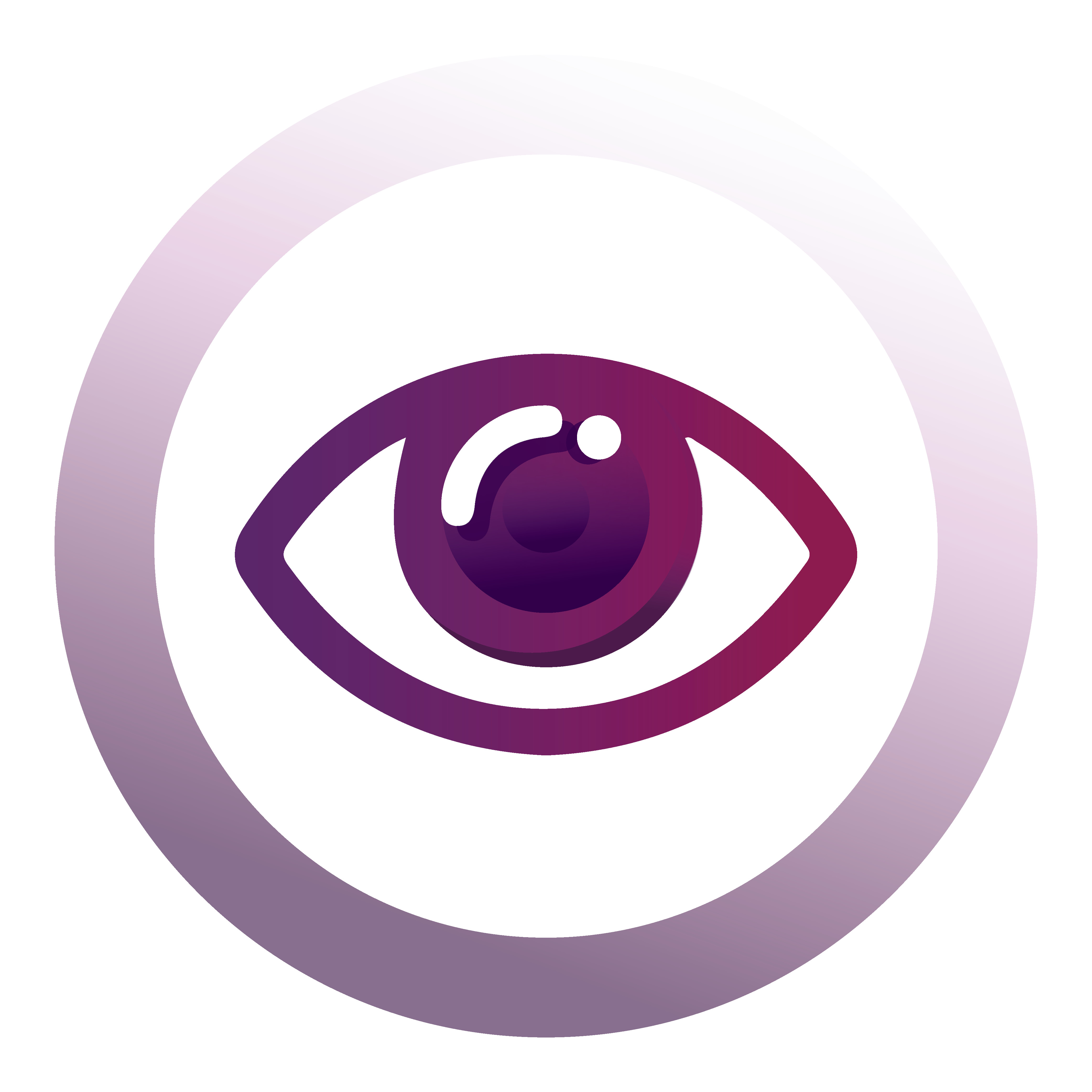 Lions Vision Service Icon